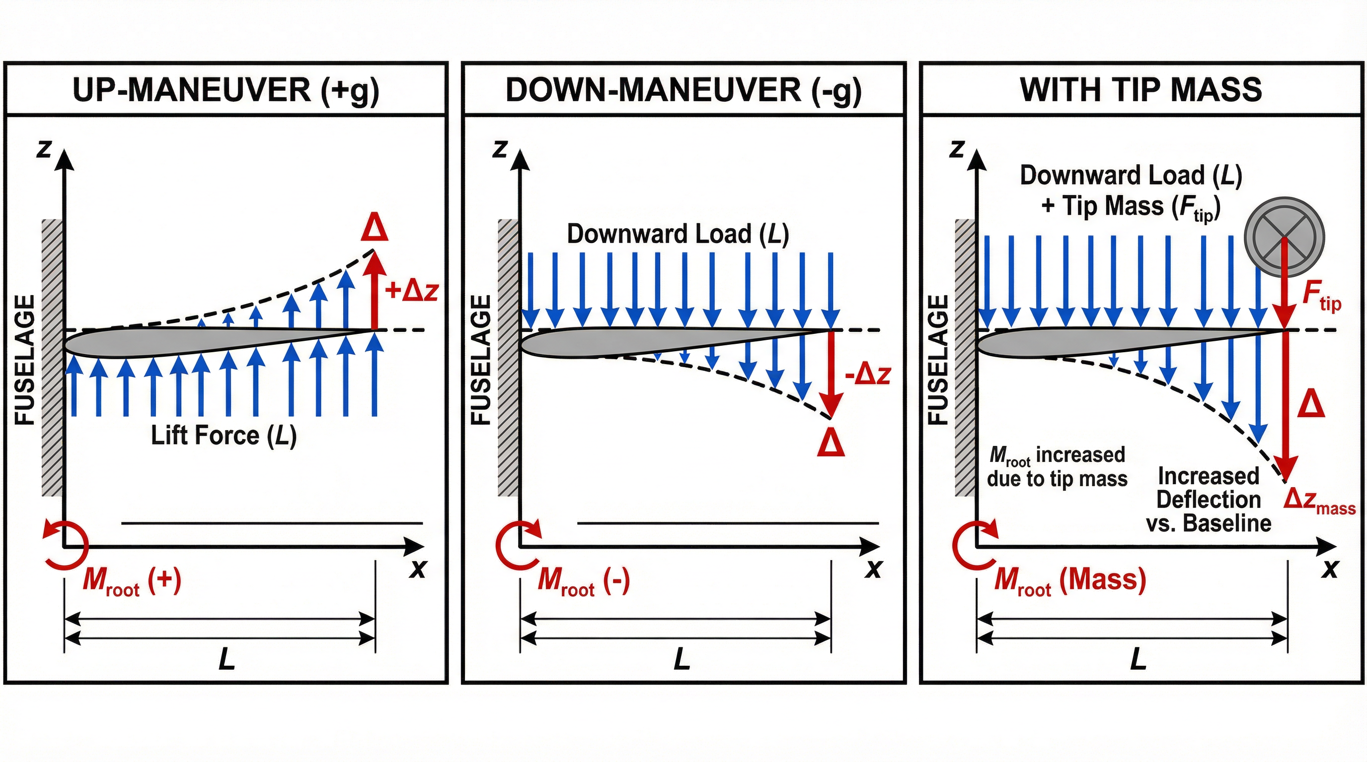 Wing Deflection Under Different Maneuvers